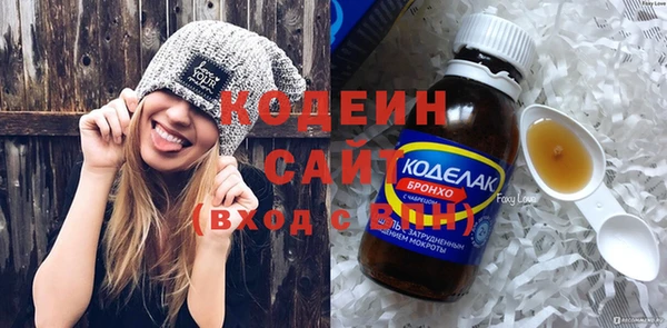 трава Инта