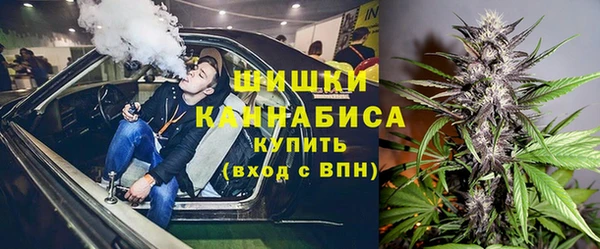 spice Алзамай