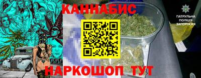 стафф Пенза