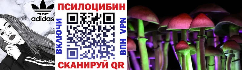 блэк спрут как зайти  Томск  Галлюциногенные грибы прущие грибы  маркетплейс наркотические препараты  купить наркоту 