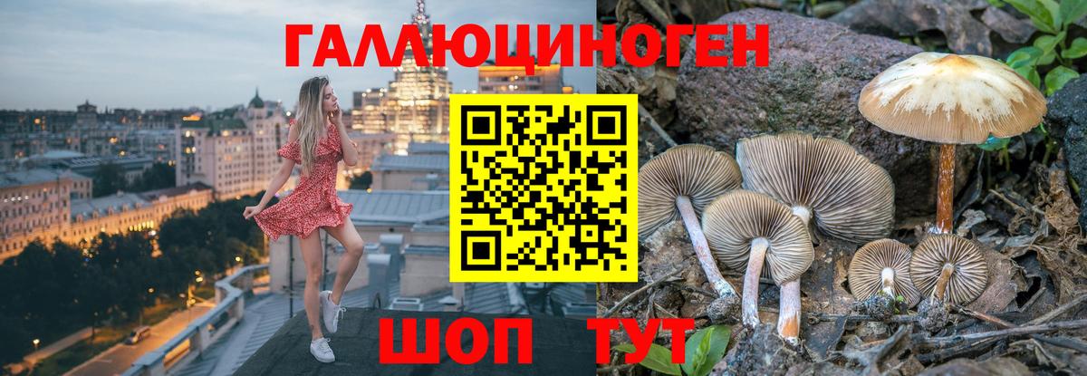 Томск  Галлюциногенные грибы Psilocybe  где продают наркотики  Вход с VPN 